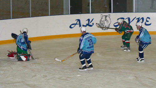 Ильсур Метшин на хоккее - атака на ворота