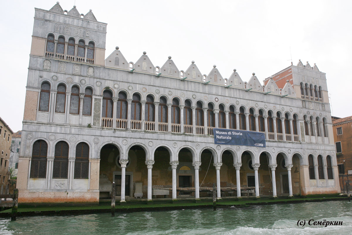 Венеция  гранд канал Музей естественной истории