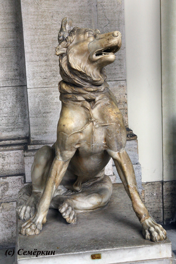 Рим - музеи Ватикана - скульптура собаки