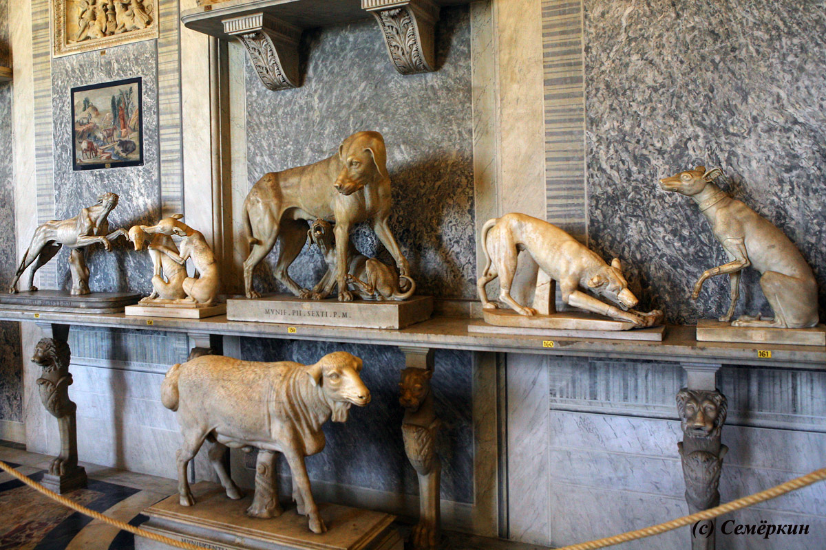 Рим - музеи Ватикана - зал животных