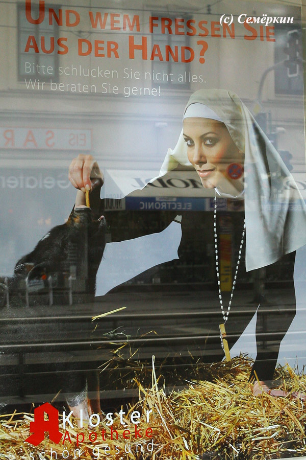 Прогулка по Мюнхену - шаловливая монашка кормит телёнка