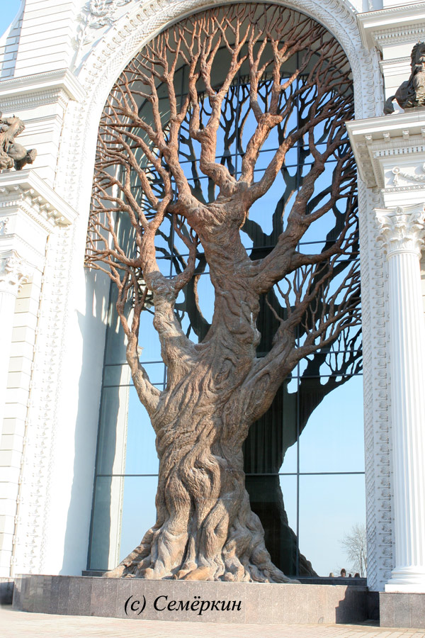 дерево на фасаде Дворца земледельцев (сухое)